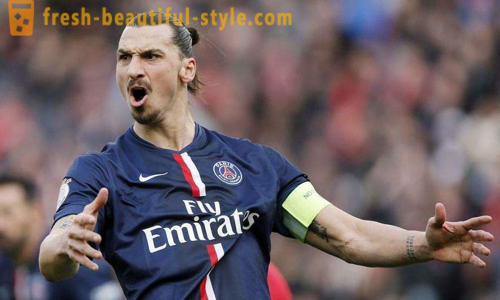 Pemain bola sepak Zlatan Ibrahimovic: biografi dan kehidupan peribadi seorang pemain bola sepak