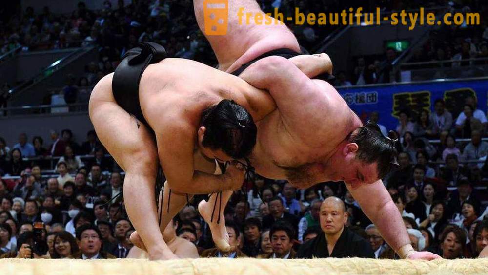 Sumo Wrestling: sejarah, kaedah, teknik dan mempunyai fakta yang paling menarik