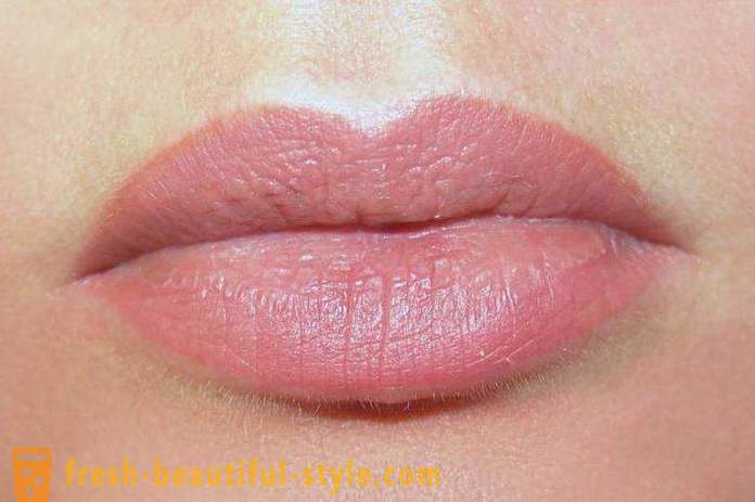 Bibir kekal solek: ulasan, penerangan prosedur, gambar