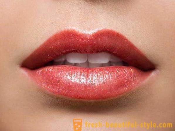 Bibir kekal solek: ulasan, penerangan prosedur, gambar