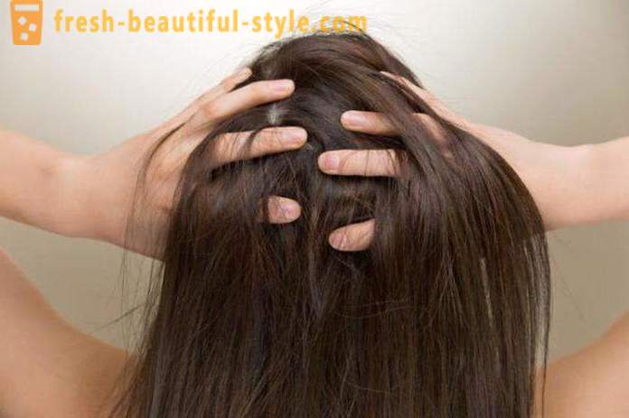 Cara terbaik untuk pewarna rambut anda: pada rambut kotor atau bersih? Bagaimana untuk pewarna pewarna rambut anda