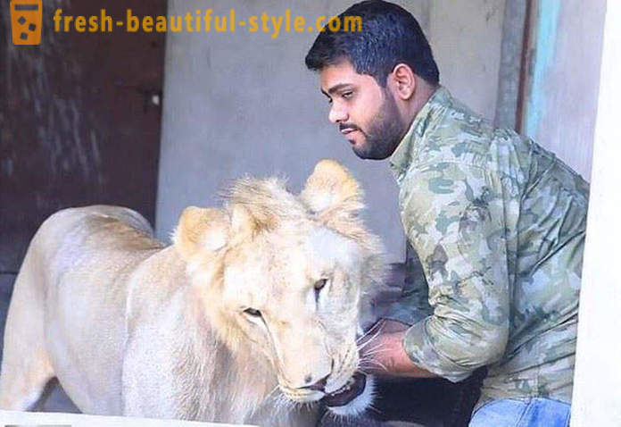 Dua adik-beradik dari Pakistan membawa singa bernama Simba