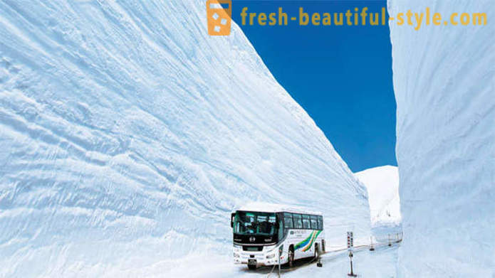 Koridor salji menakjubkan di Jepun