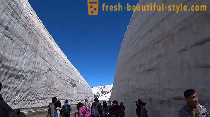 Koridor salji menakjubkan di Jepun