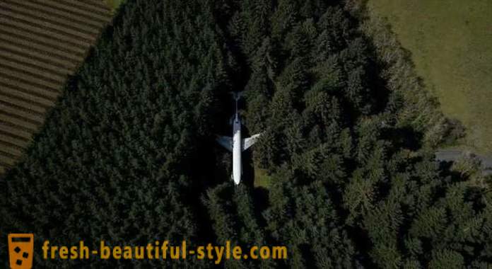 Amerika, 15 tahun hidup dalam kapal terbang di tengah-tengah hutan