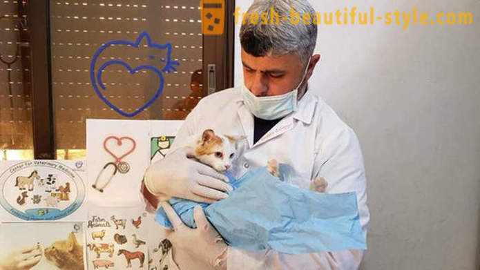 Lelaki kekal di Aleppo dilanda perang untuk menjaga haiwan terbiar