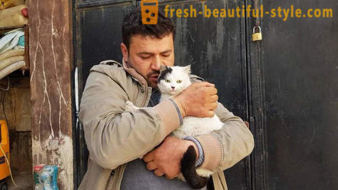 Lelaki kekal di Aleppo dilanda perang untuk menjaga haiwan terbiar