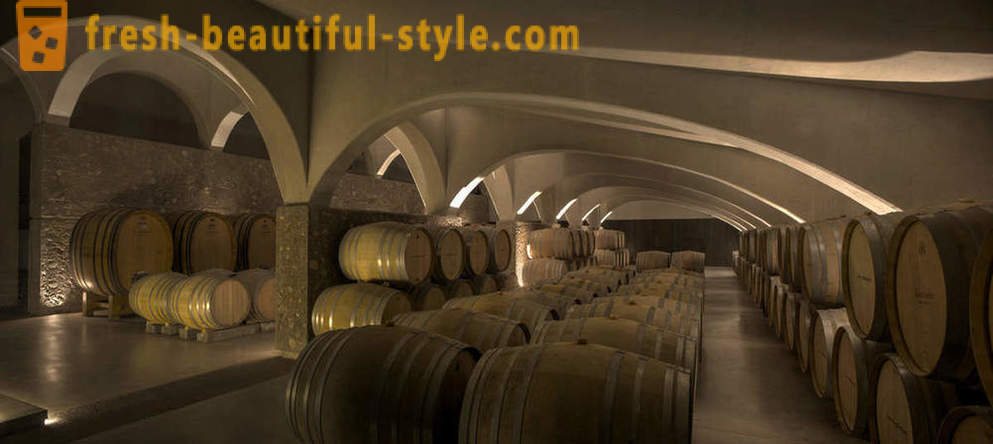 Reka bentuk luar biasa daripada ladang anggur Argentina