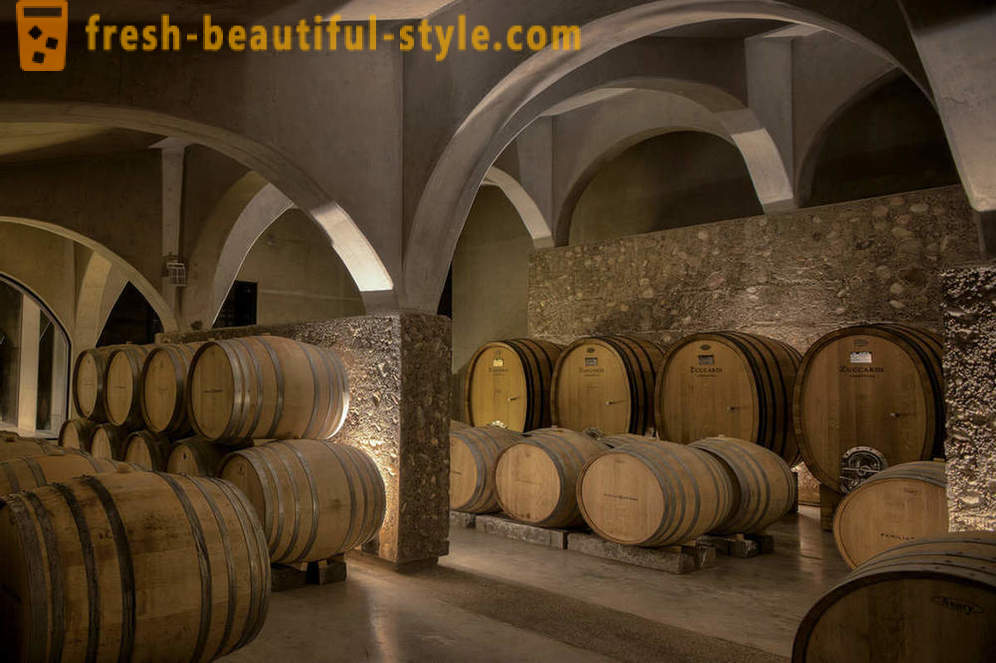 Reka bentuk luar biasa daripada ladang anggur Argentina