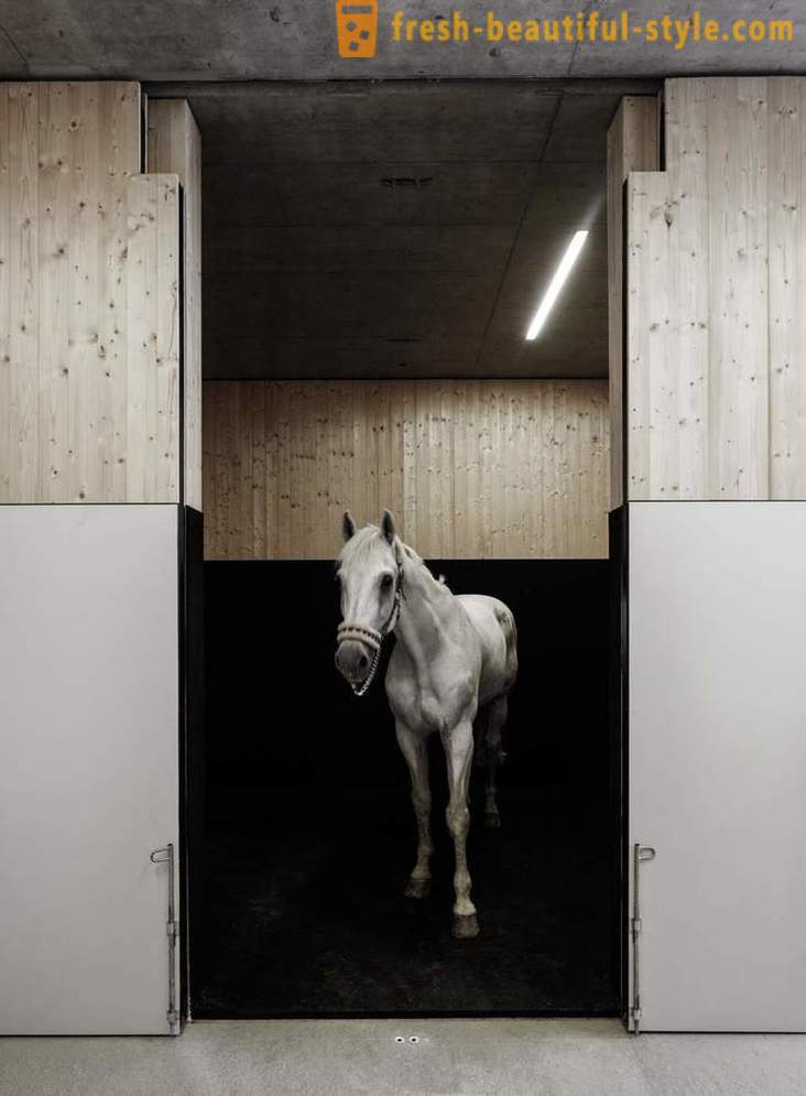 Design klinik veterinar untuk kuda di Austria