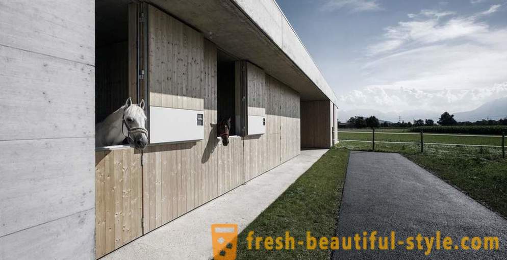 Design klinik veterinar untuk kuda di Austria