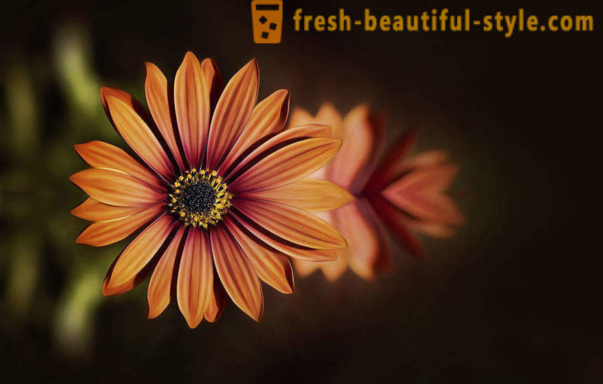 Keindahan bunga dalam fotografi makro. Gambar yang cantik bunga.