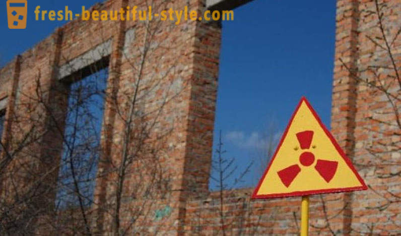Bakul nuklear: apa yang tumbuh di Chernobyl