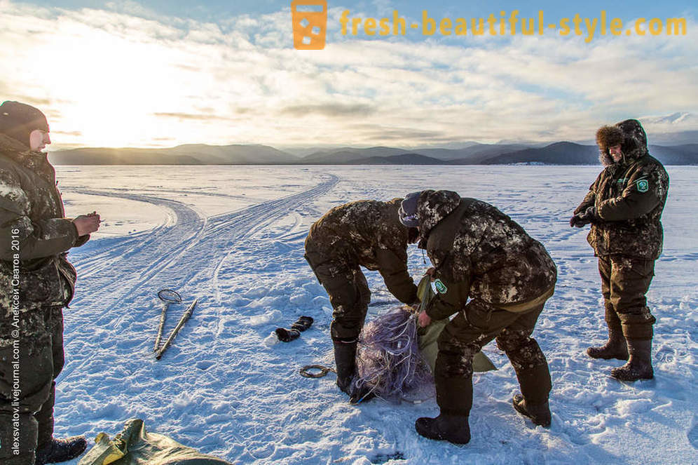 Bagaimana rybinspektory di Baikal