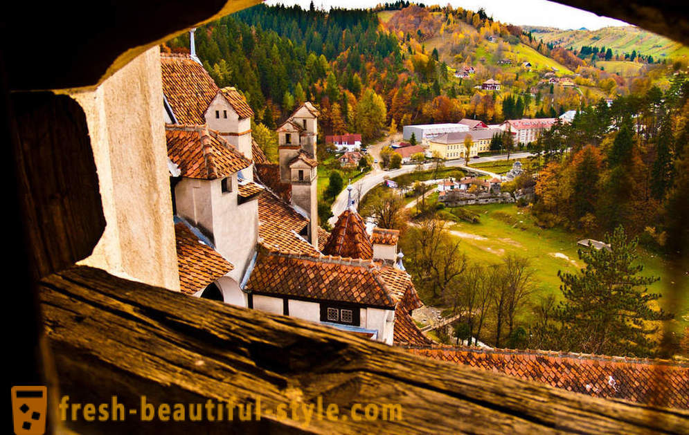Castle Dracula: Transylvania kad perniagaan