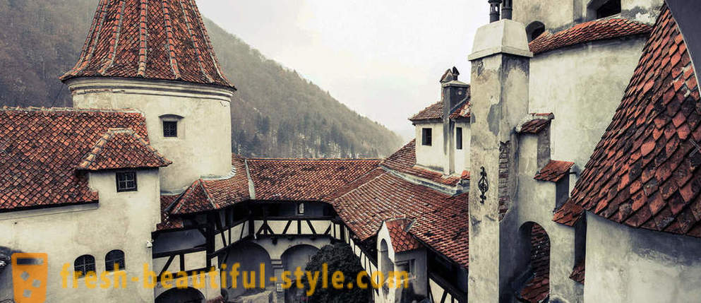 Castle Dracula: Transylvania kad perniagaan