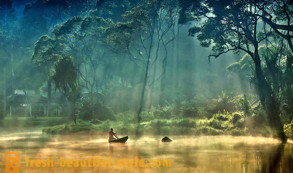 Amazon - keajaiban semula jadi dunia