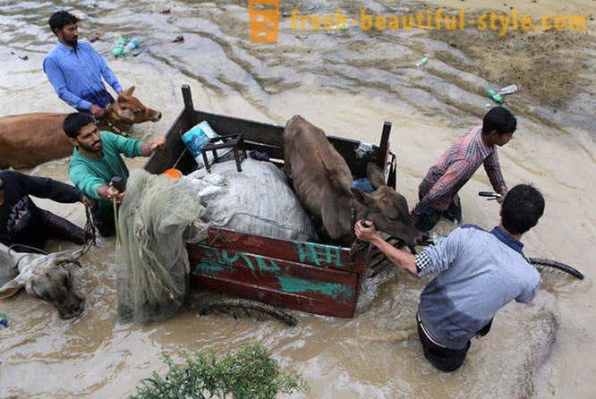 Banjir bersejarah di India dan Pakistan