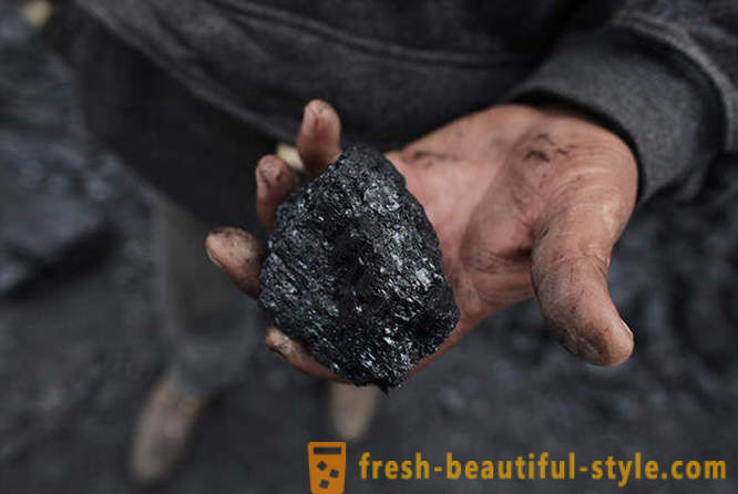 Coal - tumbuhan bawah tanah purba