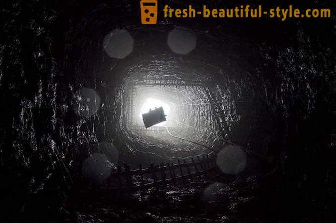 Coal - tumbuhan bawah tanah purba