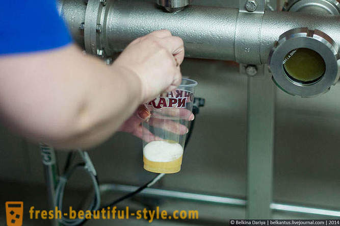 Bagaimana untuk membuat bir di Wilayah Altai