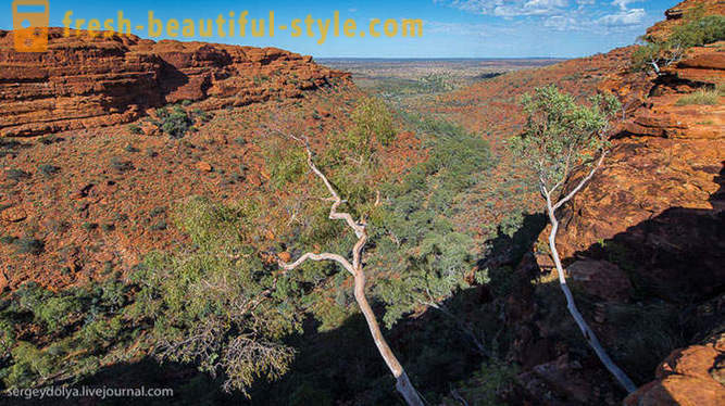 Berjalan melalui Kings Canyon di Australia