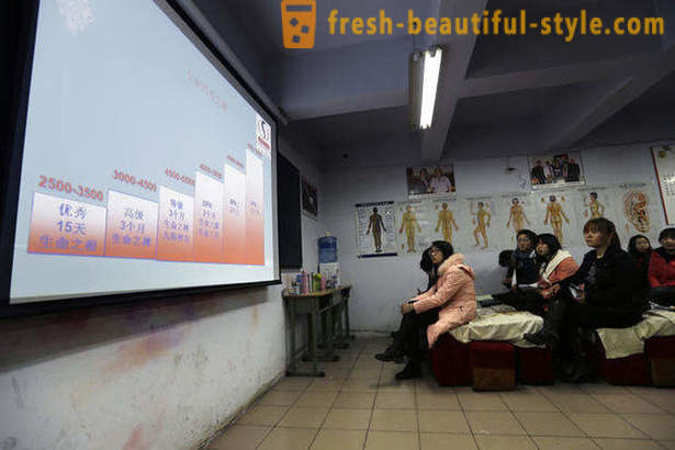 Bagaimanakah kursus urut di China