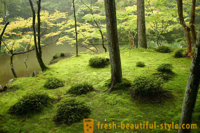 Moss taman di Jepun