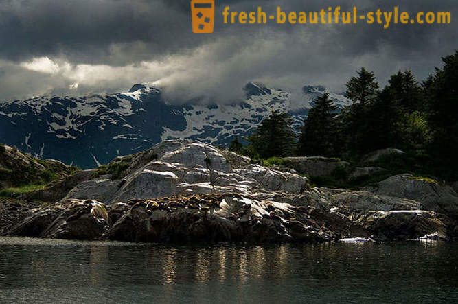 Taman Negara Glacier Bay di Alaska