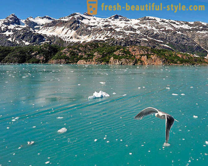 Taman Negara Glacier Bay di Alaska