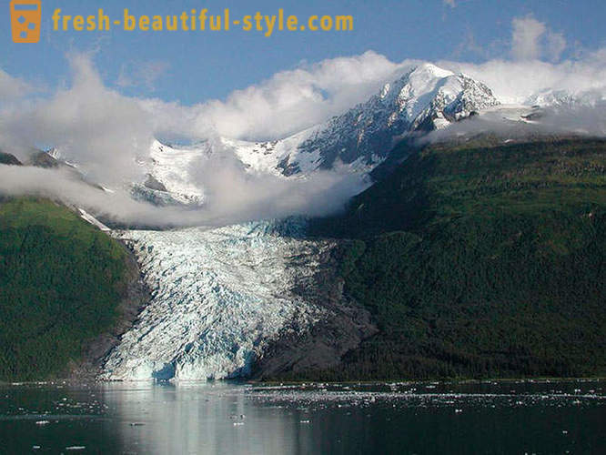 Taman Negara Glacier Bay di Alaska