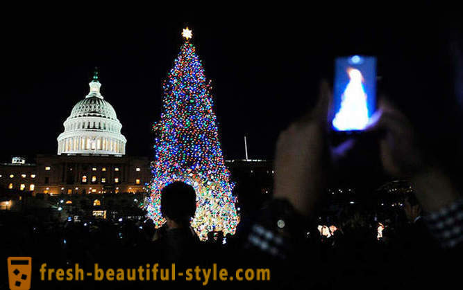 Lights Holiday 2012
