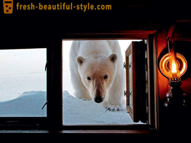 Gambar terbaik dari 2012 National Geographic