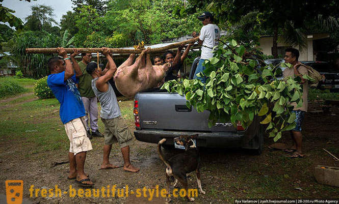 Micronesia - tempat yang syurga di Lautan Pasifik