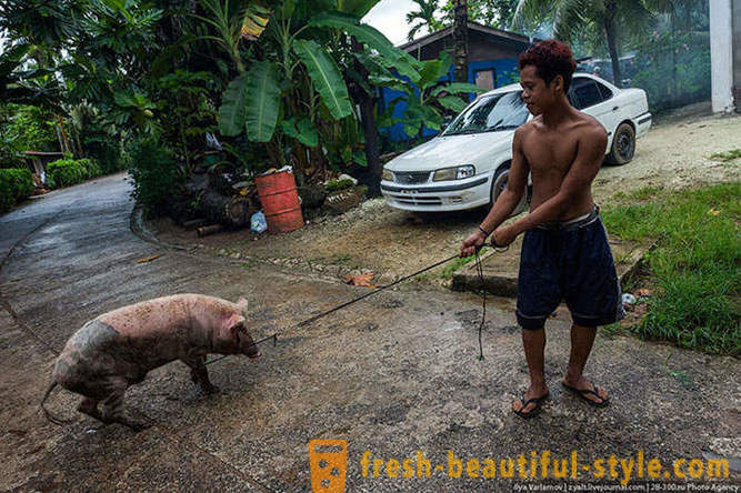 Micronesia - tempat yang syurga di Lautan Pasifik