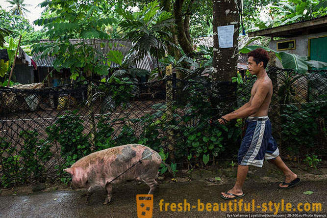 Micronesia - tempat yang syurga di Lautan Pasifik