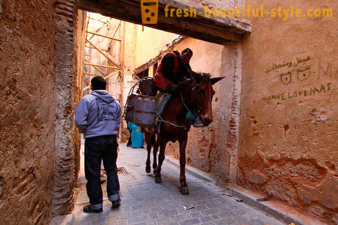 Fez - yang tertua daripada bandar-bandar imperial Maghribi