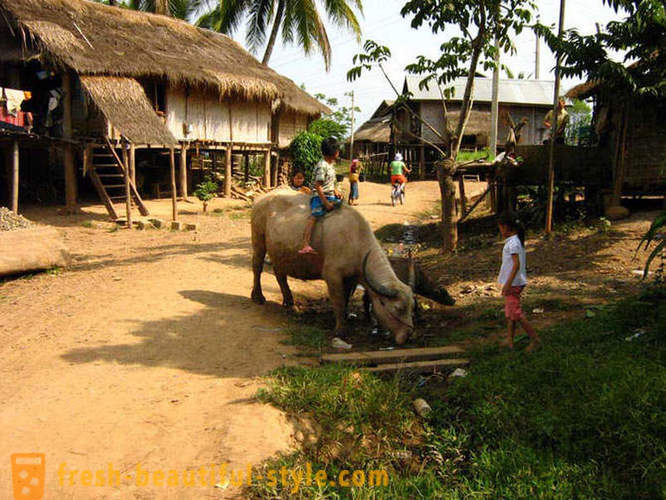 GeoFresher - Bagaimana untuk hidup di Laos