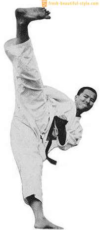 Karate: teknik dan nama-nama mereka