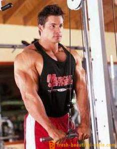 Triceps Usaha yang terbaik di gym