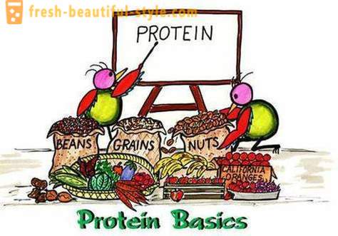 Apakah protein? Siapa dan bagaimana untuk mengambil protein