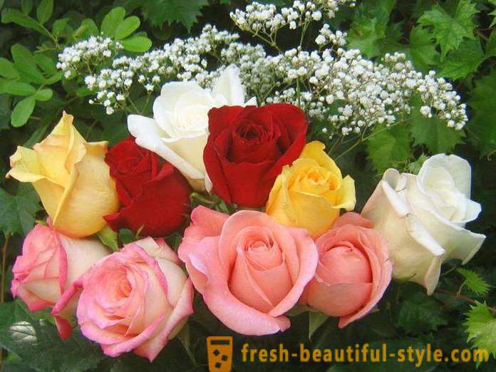 Sejambak bunga ros yang indah dalam hadiah
