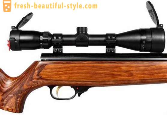 Riflescope untuk pneumatik: bagaimana untuk memilih?