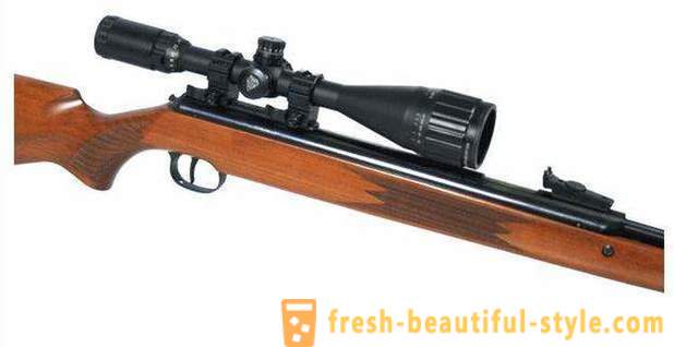 Riflescope untuk pneumatik: bagaimana untuk memilih?