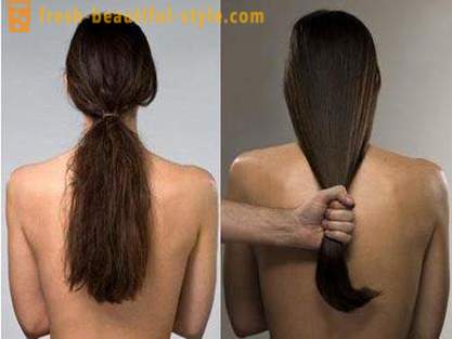 Argan Oil Rambut: ulasan. Penggunaan minyak argan penjagaan rambut