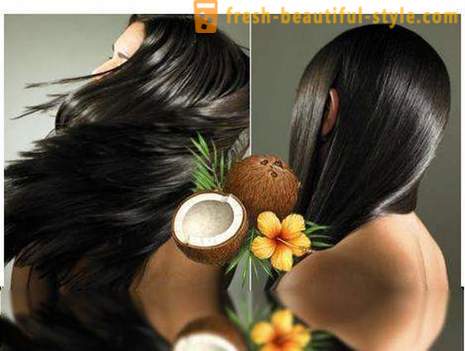 Minyak kelapa: ulasan, permohonan. Kelapa minyak rambut