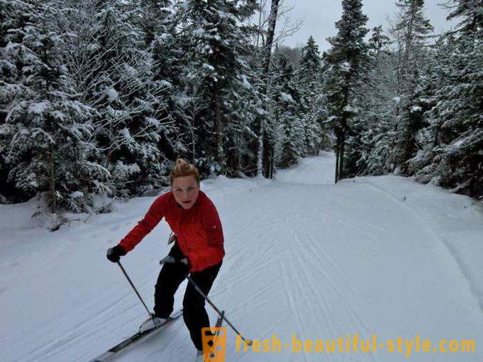 Bagaimana untuk memilih ski untuk meluncur kursus: tips untuk pemula