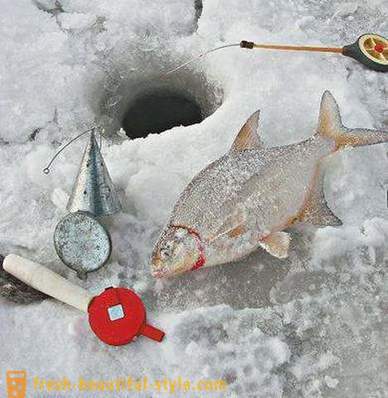 Winter Kerisi. Tackle untuk memancing musim sejuk Kerisi