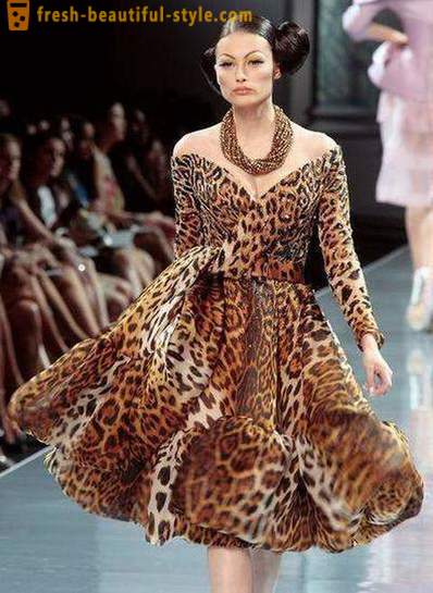 Leopard pakaian: apa yang memakai dan bagaimana untuk memakai?